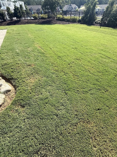 Lizard Lawn Care project photo