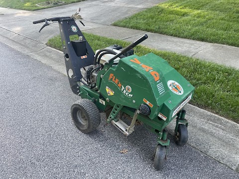 Lizard Lawn Care project photo