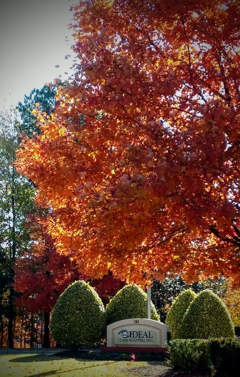 Ideal Landscaping, Inc. project photo
